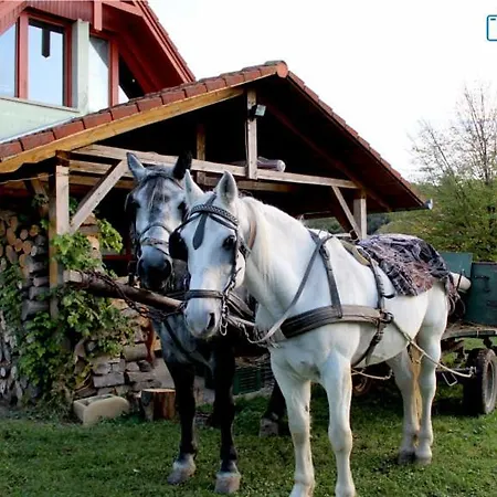 Racz Tanya Es Panzio 3* Orfű